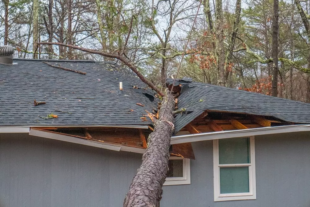 Is Wind Damage Covered By Homeowners Insurance?