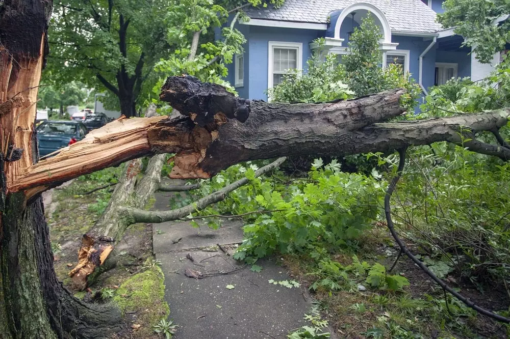 What You Can Expect After Filing a Home Insurance Claim